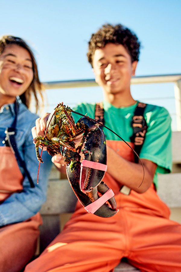 Maine lobsters